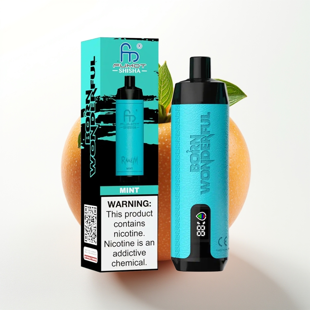 RandM Fumot Shisha 10000 Puff Monouso Aroma Menta, 18ml, 850mAh