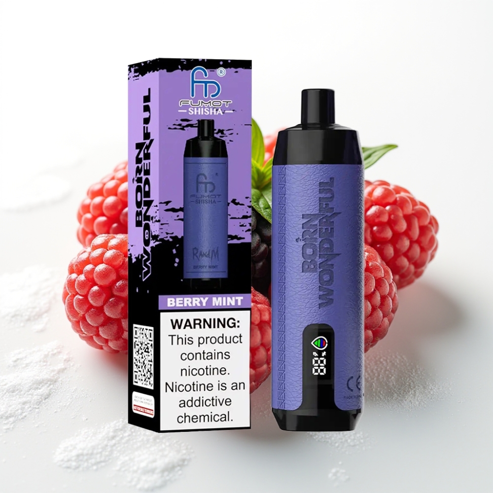 RandM Fumot Shisha 10000 Puff Sigaretta Elettronica Monouso Gusto Berry Menta, 18ml, 850mAh, 0.6ohm