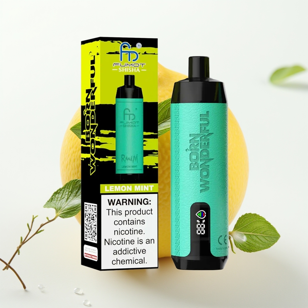 RandM Fumot Shisha 10000 Puff Sigaretta Elettronica Monouso Limone Menta, 18ml, 0.6ohm
