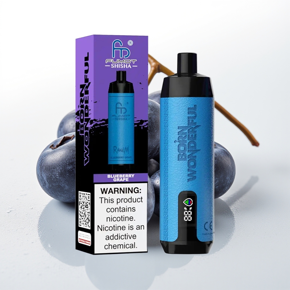RandM Fumot Shisha 10000 Puff Sigaretta Elettronica Monouso Mirtillo Uva, 18ml, 850mAh