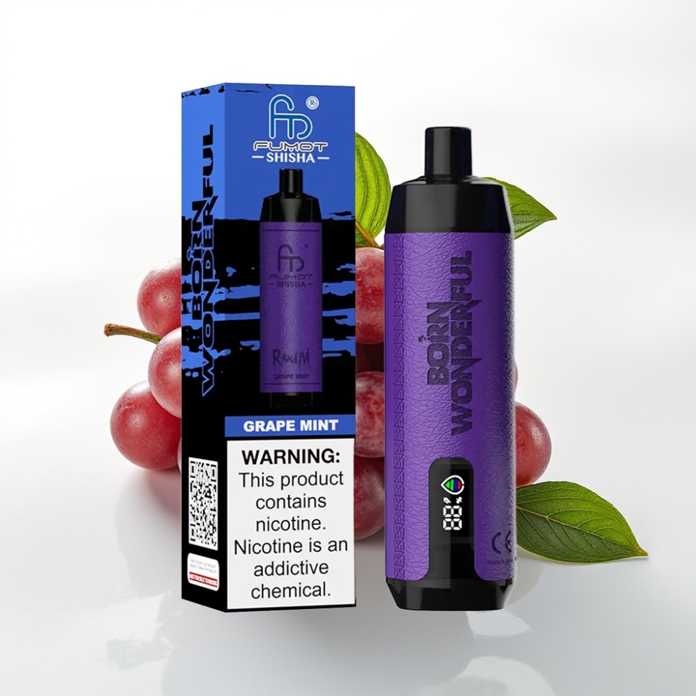 RandM Fumot Shisha 10000 Puff Sigaretta Elettronica Monouso Uva Menta, 18ml, 850mAh, 0.6ohm