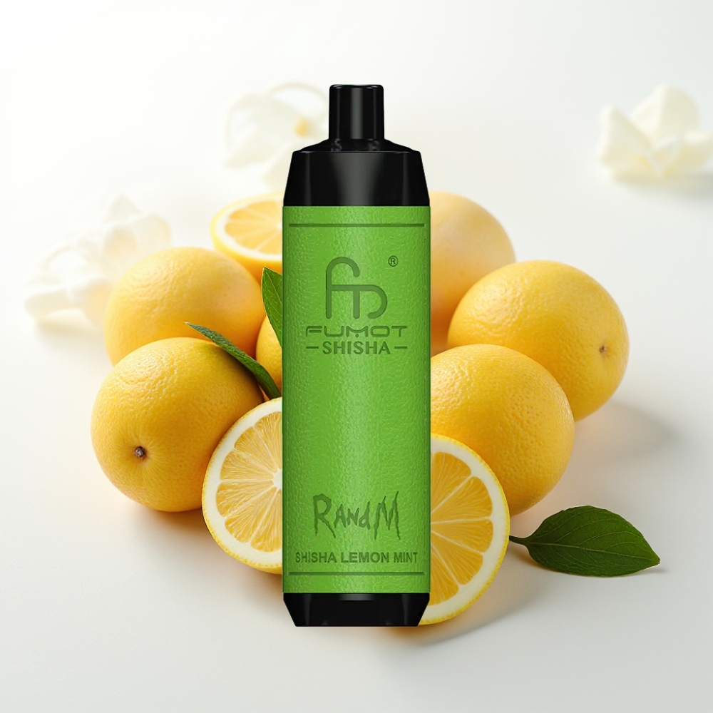 RandM Fumot Shisha 10000 Puff Sigaretta Elettronica Monouso al Limone e Menta, 18ml, 0.5% Nicotina