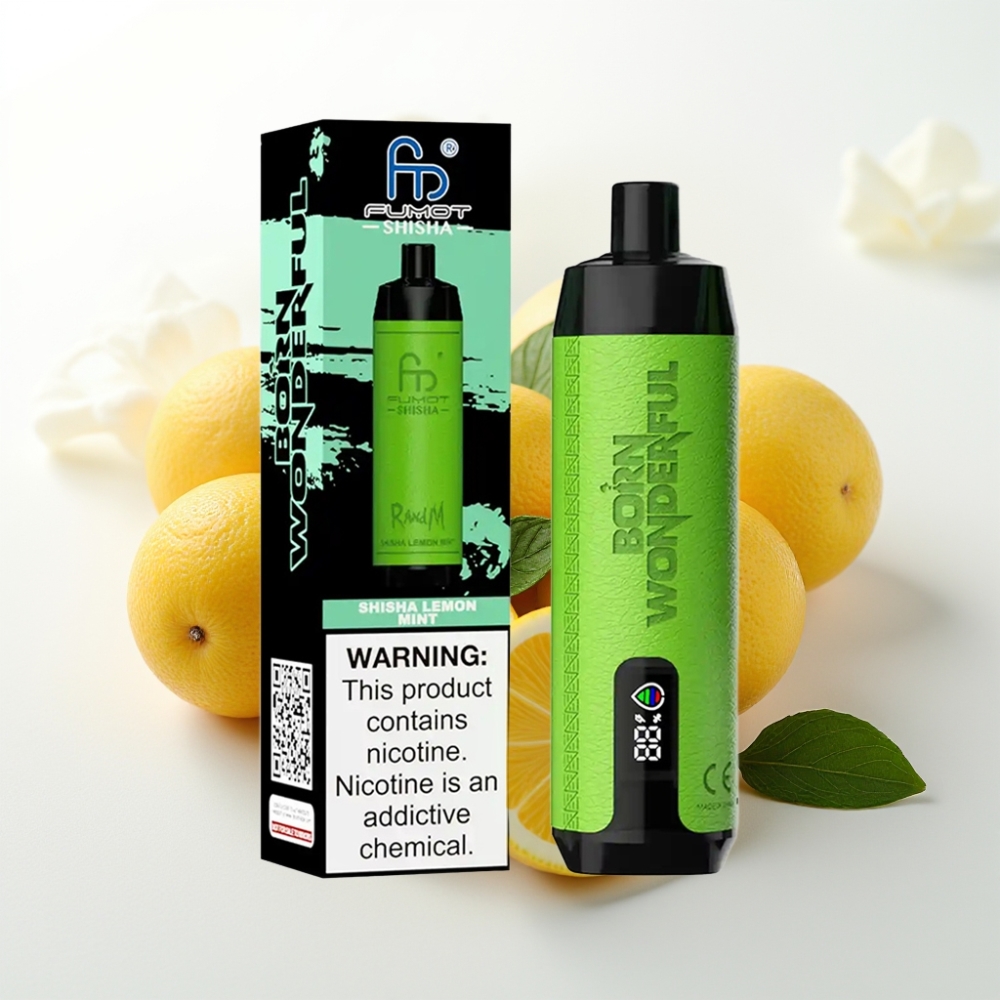 RandM Fumot Shisha 10000 Puff Sigaretta Elettronica Monouso al Limone e Menta, 18ml, 0.5% Nicotina